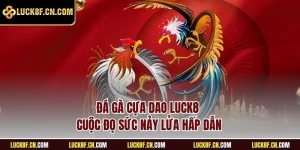 Đá gà cựa dao LUCK8